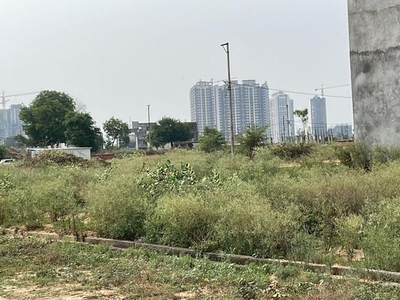 Noida Extension Authority Plot