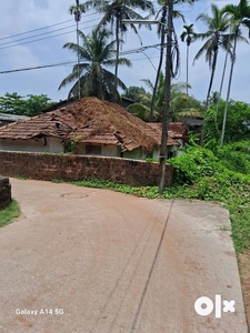 Semi commercial Tield house with 6.20 cents land Infosys kottara