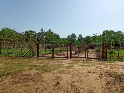 Shree Dham Eco Farm