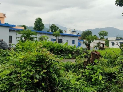 Thano Rishikesh Uttarakhand
