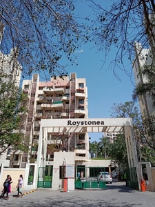 950 sq ft 2 BHK 2T Apartment for rent in Magarpatta Roystonea at Hadapsar, Pune by Agent pooja