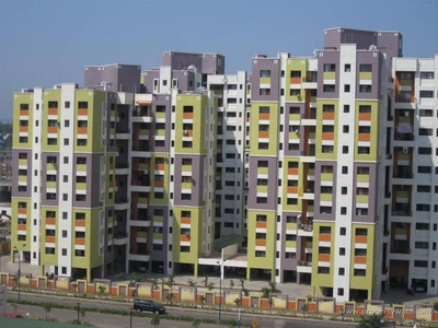 1000 sq ft 2 BHK 2T Apartment for rent in Magarpatta Trillium at Hadapsar, Pune by Agent pooja