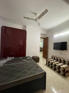 1000 sq ft 2 BHK 2T Apartment for rent in Project at Saket, Delhi by Agent Parashar Associates