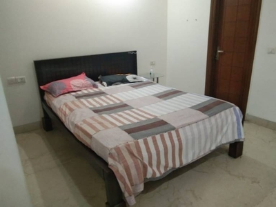 1000 sq ft 2 BHK 2T BuilderFloor for rent in Project at Lajpat Nagar, Delhi by Agent Namita Properties