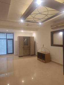 1900 sq ft 4 BHK 4T Apartment for rent in DDA DDA Sector C Pocket 9 at Vasant Kunj, Delhi by Agent Arise Home