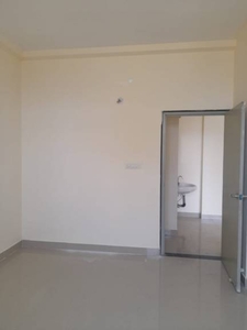 500 sq ft 1 BHK 1T Apartment for rent in DDA Flats Sector 14 at Sector 14 Dwarka, Delhi by Agent Shree Properties