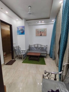 800 sq ft 2 BHK 2T BuilderFloor for rent in Project at Rajpur Khurd Extension, Delhi by Agent DIVINE HOMES
