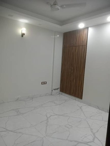 950 sq ft 2 BHK 2T Apartment for rent in Reputed Builder Malviya Nagar Premium Builder Floors at Sheikh Sarai, Delhi by Agent Devender chauhan