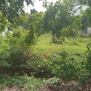 Residential 600 Sqft Plot for sale at S.G. Palya, Bangalore