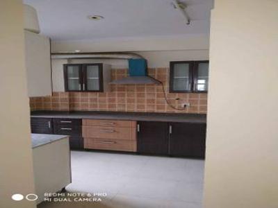 1625 sq ft 3 BHK 3T Apartment for rent in Amrapali Eden Park at Sector 50, Noida by Agent laxmi propertie collection