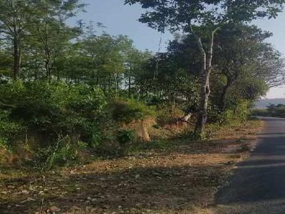 Agricultural Land 3 Acre for Sale in Sakleshpur, Hassan