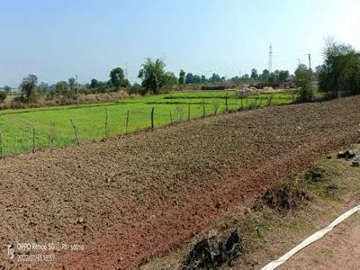 Agricultural Land 3 Acre for Sale in SherGanj, Satna