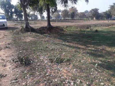 900 sq ft SouthWest facing Completed property Plot for sale at Rs 8.00 lacs in Project in SULTANPUR BIRD CENTU, Gurgaon