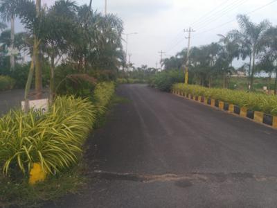 Vikyath Haritha Vanam Anantharam Phase II in Bhuvanagiri, Hyderabad