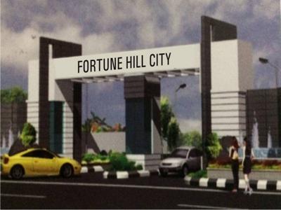 Fortune Hill City