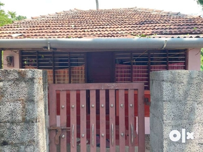 5cent property with house near nedumbasseri airport