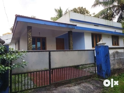 Aluva Thattampady 5 Cent 3 Bhk Attached 1100 Sgf. House