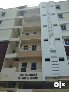 2 bhk apartment in Andhra praba colony for rent