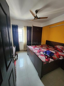 3 BHK Flat for rent in Noida Extension, Greater Noida - 1521 Sqft
