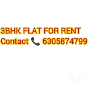 3bhk luxurious new flat for rent
