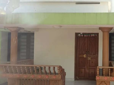 House for rent three bed room two bath with compound wall