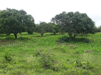 Agricultural Land 7 Acre for Sale in Tegur, Dharwad