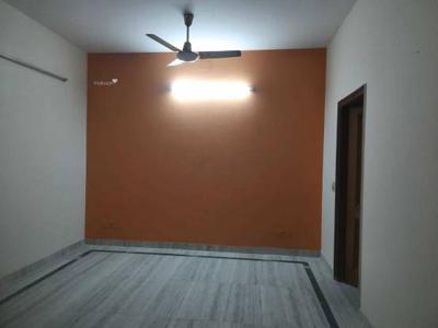 1000 sq ft 2 BHK 2T Apartment for rent in DDA Pocket C2 at Mayur Vihar, Delhi by Agent Global Estate India