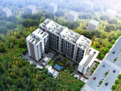 1012 sq ft 2 BHK 2T East facing Completed property Apartment for sale at Rs 70.00 lacs in Project in Wakad, Pune