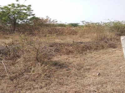 1036 sq ft Plot for sale at Rs 6.00 lacs in Project in Koregaon Bhima, Pune