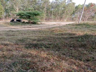 1200 sq ft Completed property Plot for sale at Rs 25.00 lacs in Project in Electronics City, Bangalore