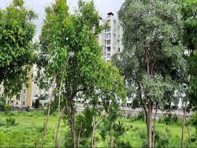 1300 sq ft Plot for sale at Rs 42.90 lacs in Project in Wagholi Road, Pune