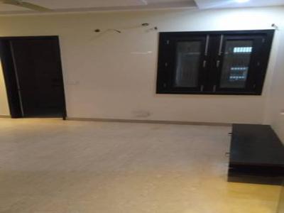 1500 sq ft 3 BHK 3T BuilderFloor for rent in Project at Pitampura, Delhi by Agent VR Property