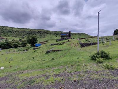2000 sq ft Plot for sale at Rs 18.00 lacs in Project in Yewalewadi, Pune
