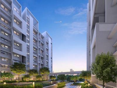 267 sq ft 1 BHK 1T Apartment for sale at Rs 36.00 lacs in Rohan Prathama 2th floor in Hinjewadi, Pune