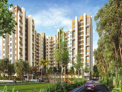 389 sq ft 1 BHK Launch property Apartment for sale at Rs 42.00 lacs in Raojee Palladium Plus in Dhanori, Pune