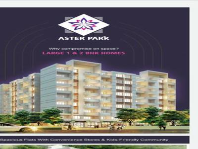 659 sq ft 1 BHK 1T Apartment for sale at Rs 27.90 lacs in Wakadkar Aster Park in Nere, Pune
