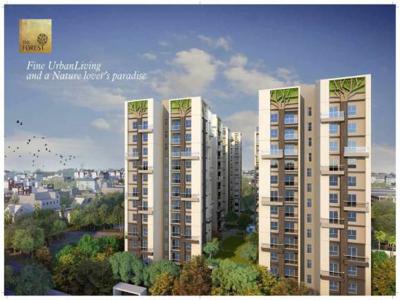 715 sq ft 2 BHK 2T West facing Apartment for sale at Rs 49.51 lacs in Eden The Forest 10th floor in Dum Dum, Kolkata