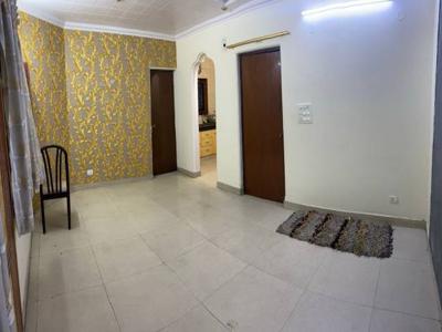 750 sq ft 1 BHK 1T Apartment for rent in On required at IP Extension, Delhi by Agent DAS PROPERTIES