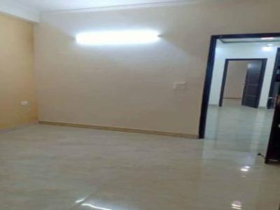 850 sq ft 2 BHK 2T Apartment for rent in Partik Panchsheel Vihar at Sheikh Sarai, Delhi by Agent KC Real Estate