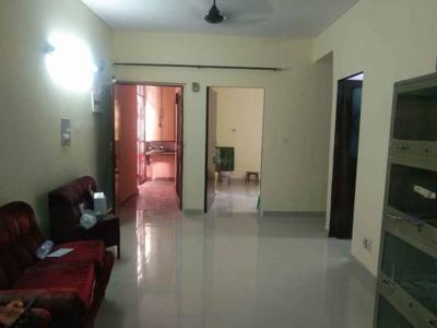 950 sq ft 2 BHK 2T Apartment for rent in Brothers Apartment IP extension at IP Extension, Delhi by Agent DAS PROPERTIES