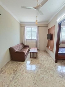 1 BHK Independent Floor for rent in BTM Layout, Bangalore - 620 Sqft