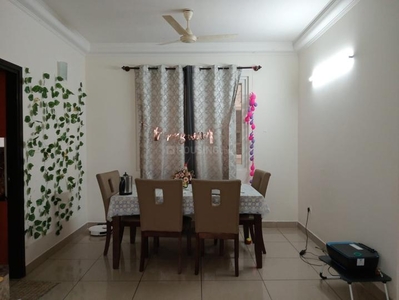 3 BHK Flat for rent in Harlur, Bangalore - 1760 Sqft