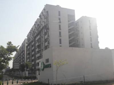 1342 sq ft 2 BHK 2T Apartment for rent in Vatika City Homes at Sector 83, Gurgaon by Agent zupita homes