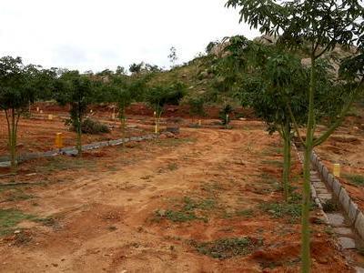 Residential Land For SALE 5 mins from Doddaballapur