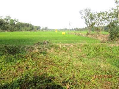 Residential Land For SALE 5 mins from Joka