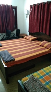 1 BHK Flat for rent in Kilpauk, Chennai - 523 Sqft