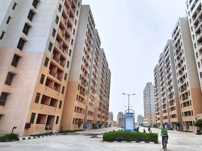 1 BHK Flat In Dda Flats for Rent In 47, Shivaji Nagar, Narela Mandi, Narela, New Delhi, Delhi, 110040, India