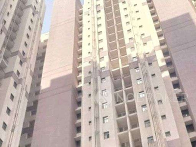 1 BHK Flat In Mansa Apartment for Rent In Narela