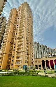 1 BHK Flat In Sports Home for Rent In Noida Phase-2