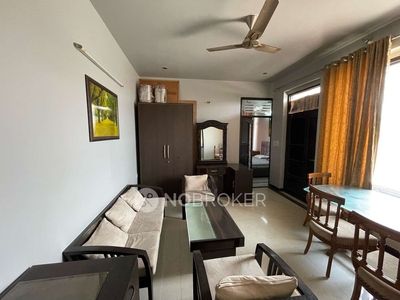 1 BHK Flat In Standalone Building for Rent In Sector 10 Hbc